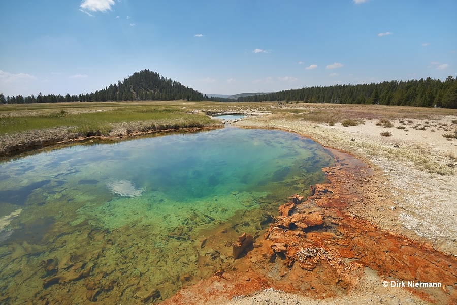 Spring LCBNN161 Yellowstone