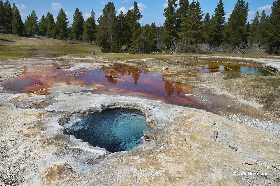 Porcupine Hill Geyser Yellowstone