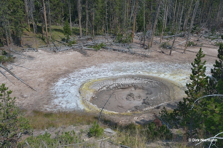 Mud pot Hayden Valley