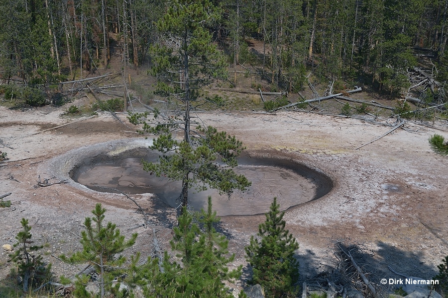 Mud pot Hayden Valley