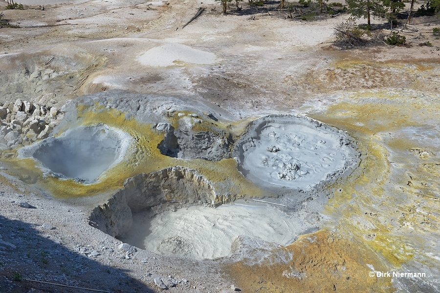 Sulphur Caldron 2013 Yellowstone