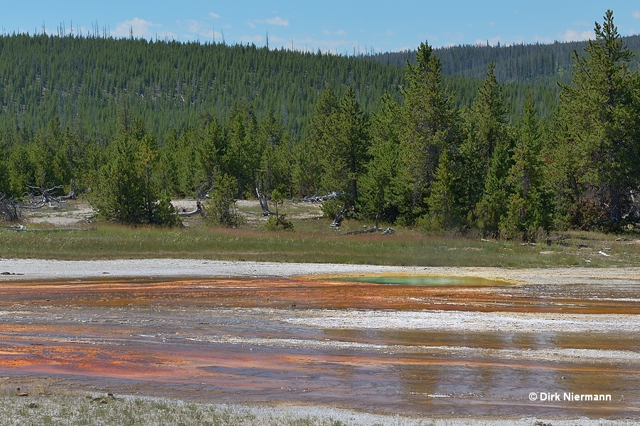Basin Spring, Myriad Group, Yellowstone
