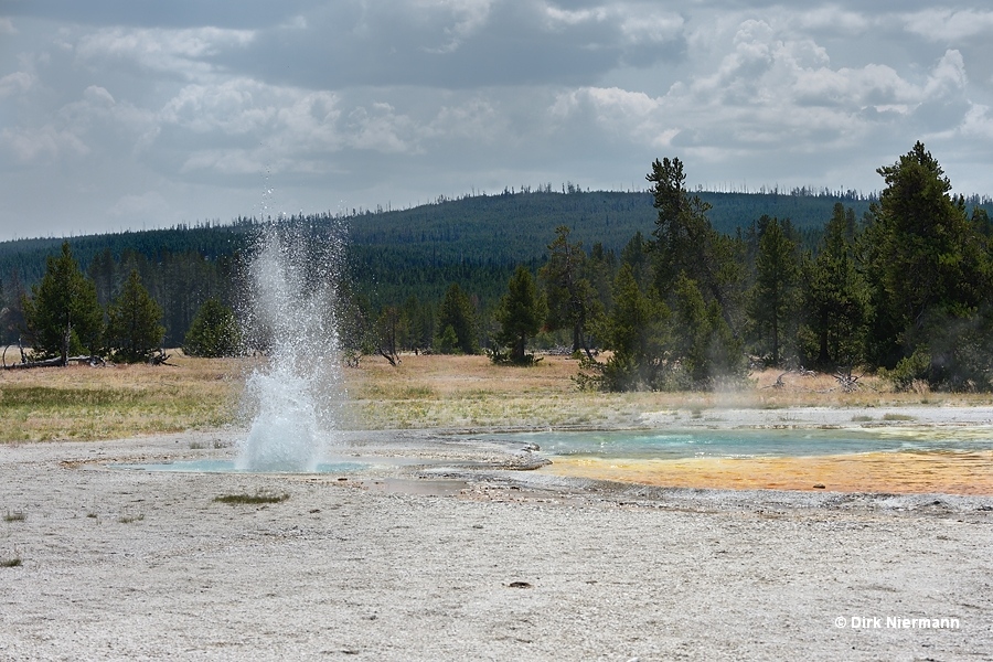 Little Brother Geyser, Myriad Group, Yellowstone