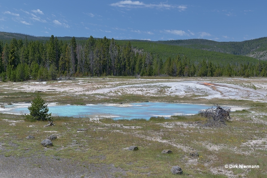 Many Spring Pond, Myriad Group, Yellowstone