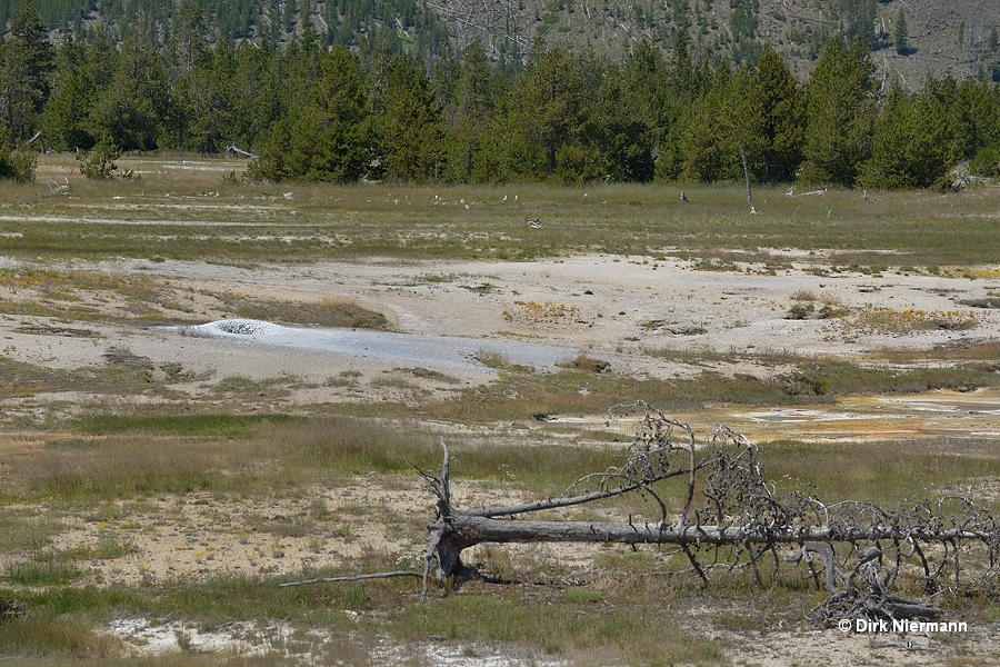Mud Pots, Myriad Group, Yellowstone