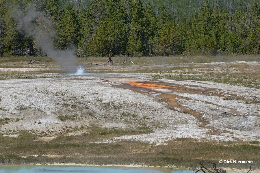 White Geyser, Myriad Group, Yellowstone