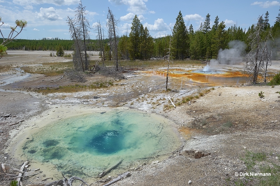 Branch Spring and Minute Geyser Yellowstone