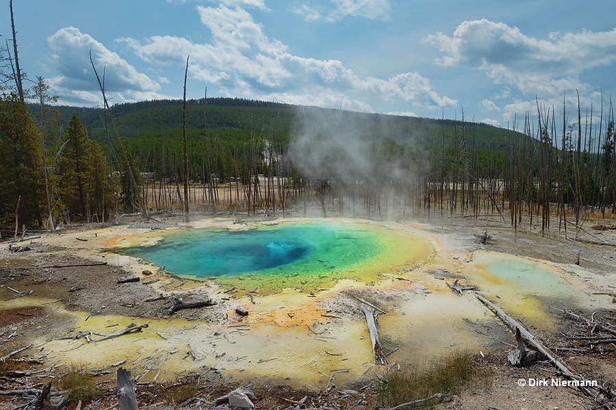 Cistern Spring Yellowstone