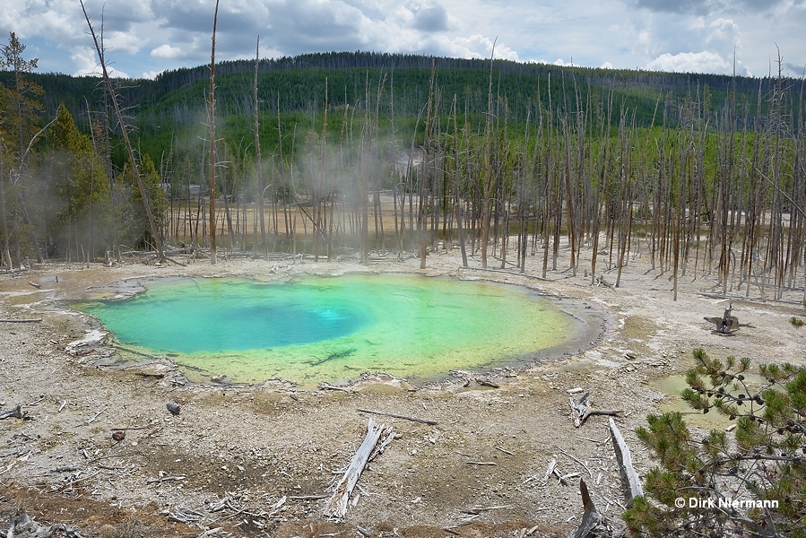 Cistern Spring Yellowstone