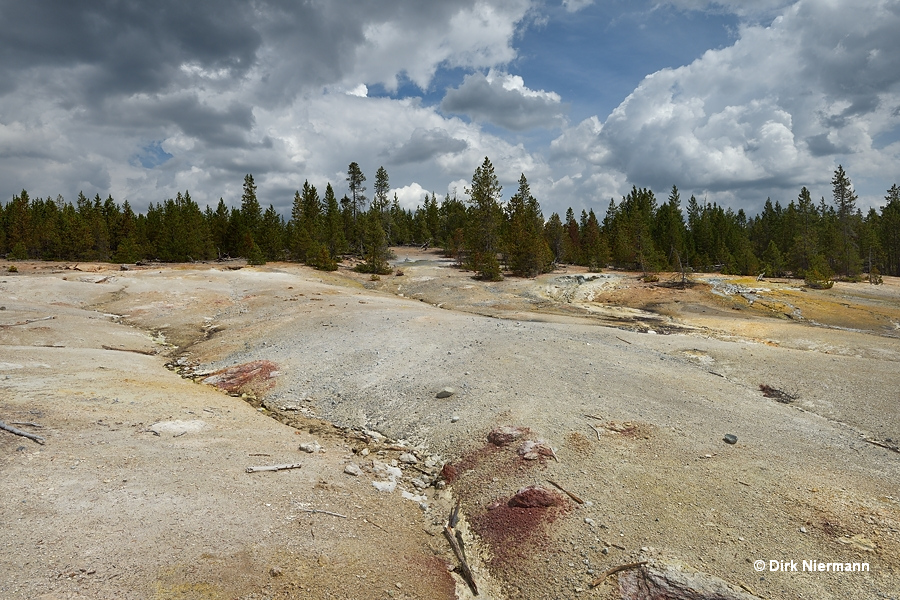 Dr. Allen's Paint Pots Yellowstone