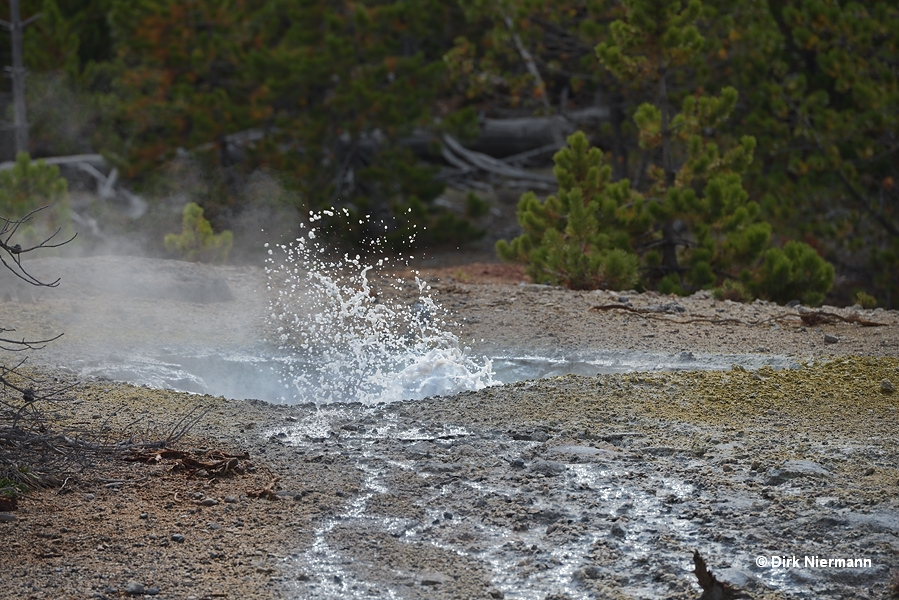 Dr. Allen's Paint Pots Yellowstone