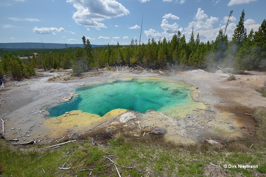 Emerald Spring Yellowstone