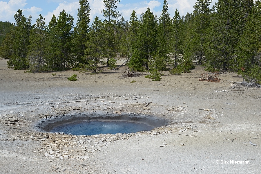 Fearless Geyser Yellowstone