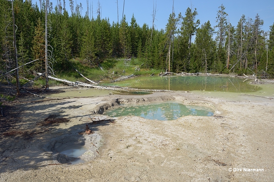 Hot spring NBBNN025 Yellowstone