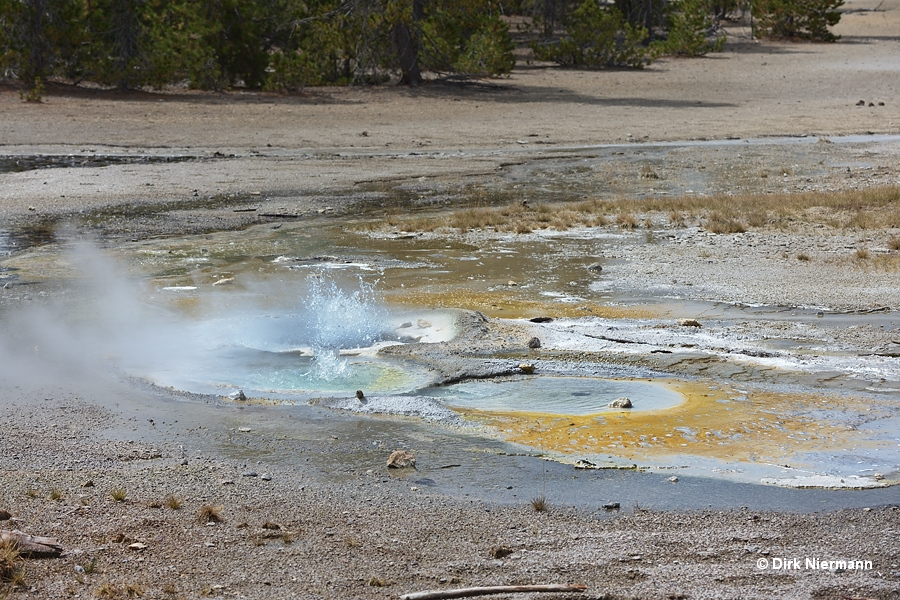 Norris Sinks Yellowstone