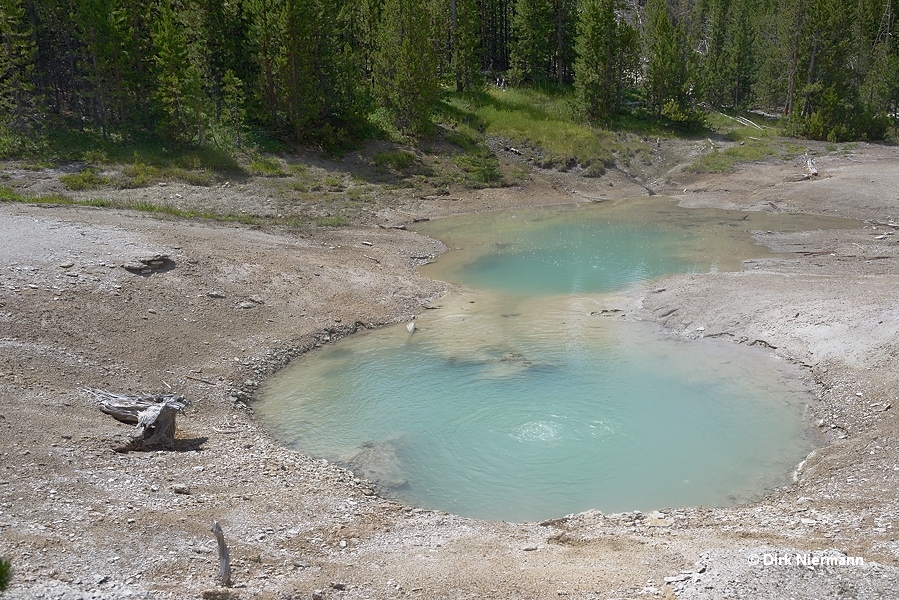 Root Pool Yellowstone