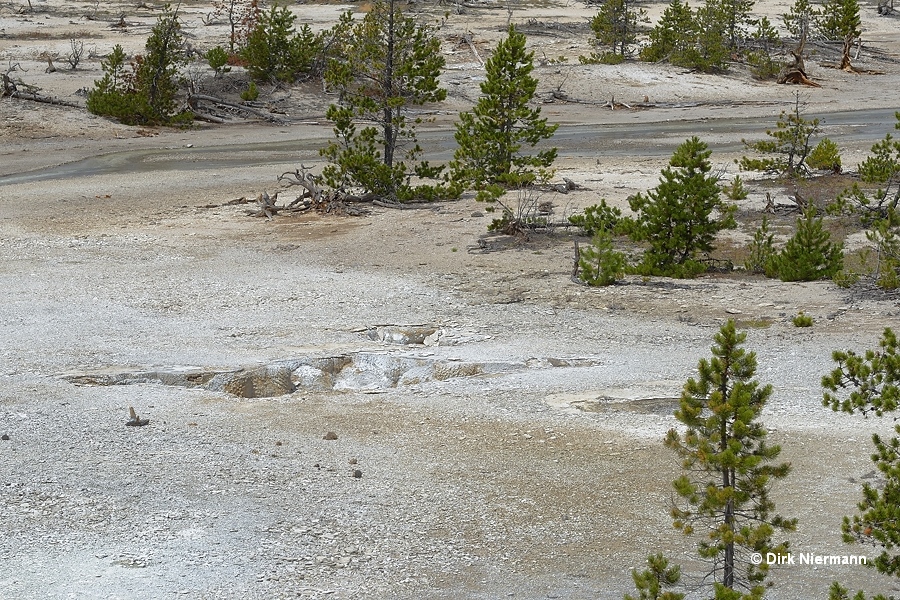 Spearpoint Geyser Yellowstone
