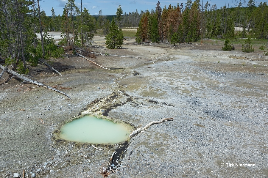 Sulphur Pot Yellowstone