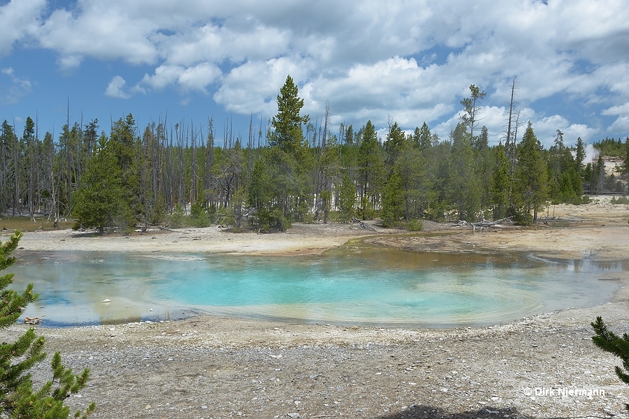 Tantalus Geyser Yellowstone