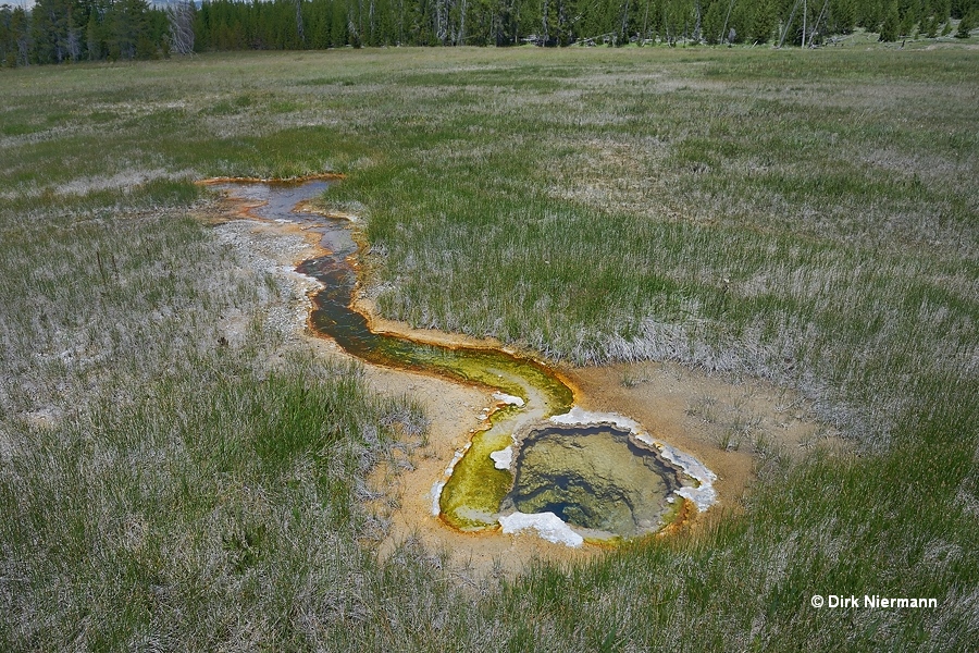 Hot spring NEPSNN14 Yellowstone