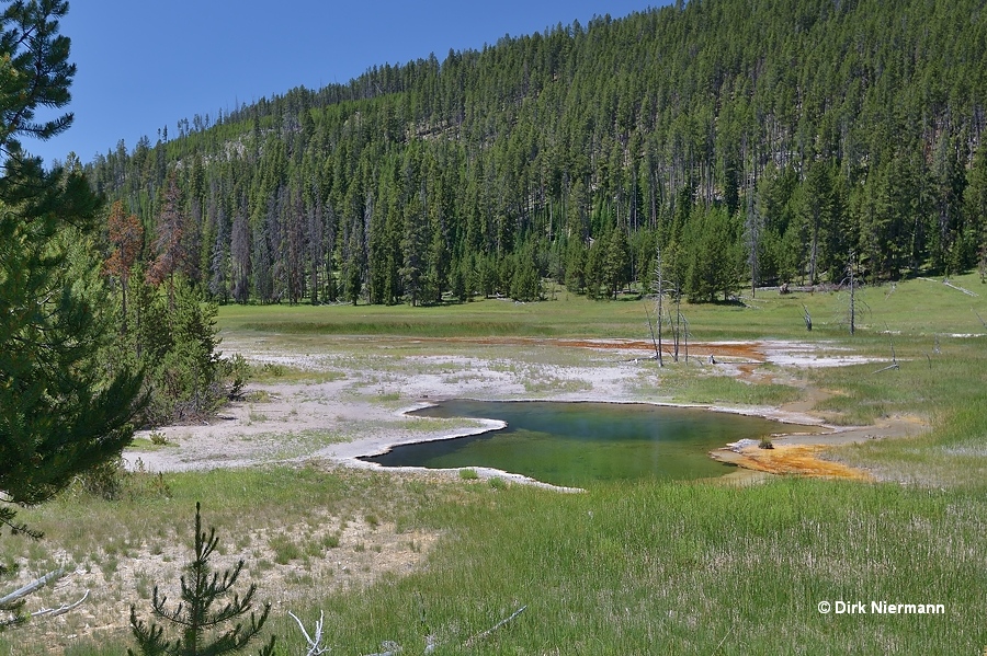 Bijah Spring Yellowstone