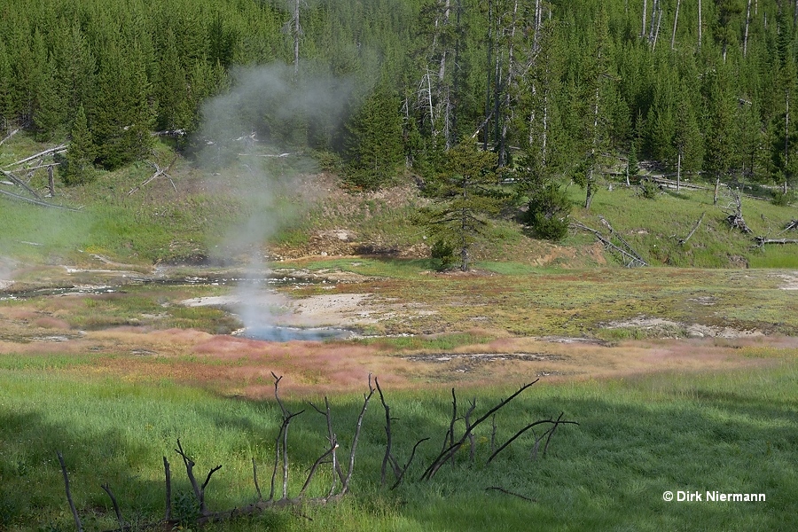 Clearwater Springs Yellowstone
