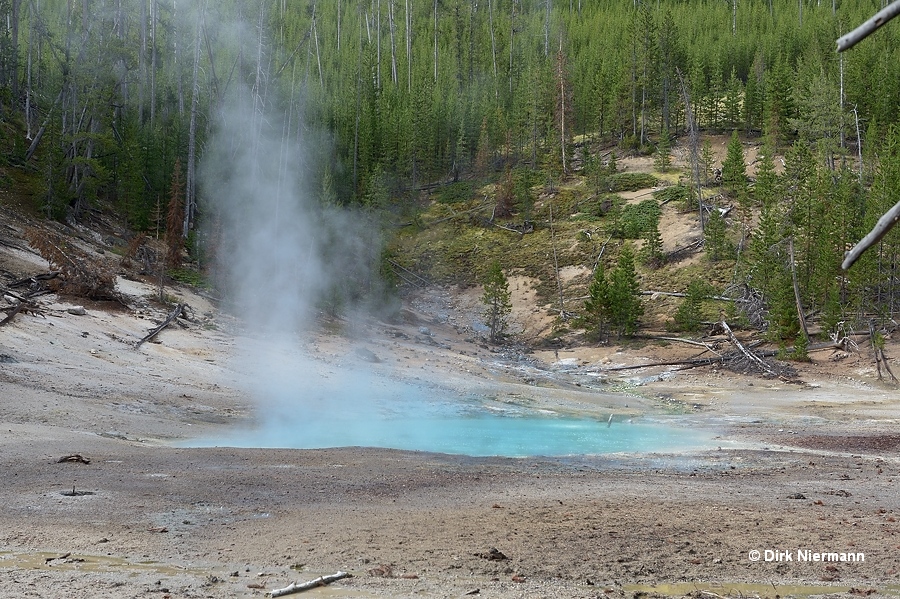 Frying Pan Bowl Yellowstone