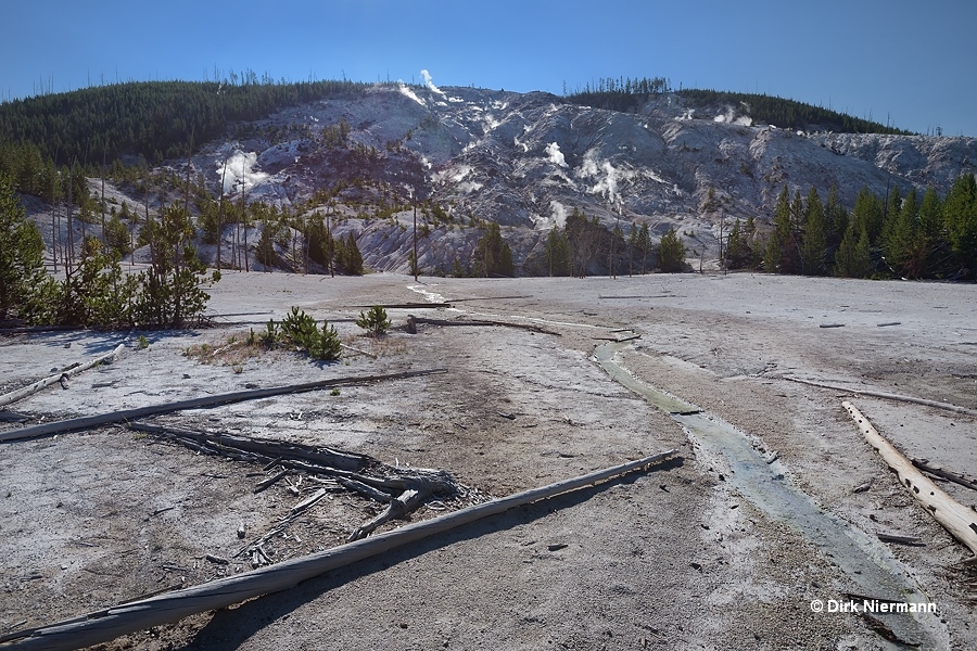 Roaring Mountain Yellowstone