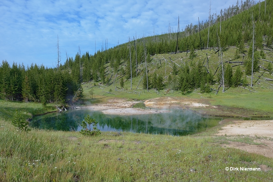 Semi-Centennial Geyser Yellowstone