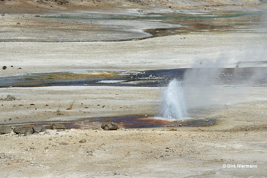 Arsenic Geyser Yellowstone