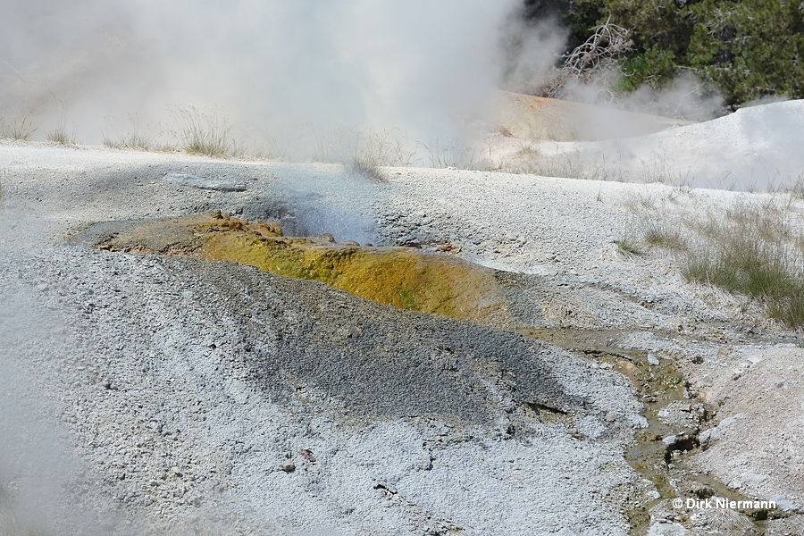 Black Growler Steam Vent Yellowstone