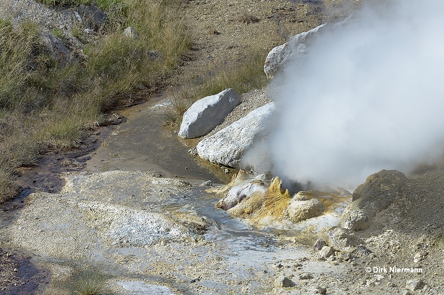 Guardian Geyser Yellowstone