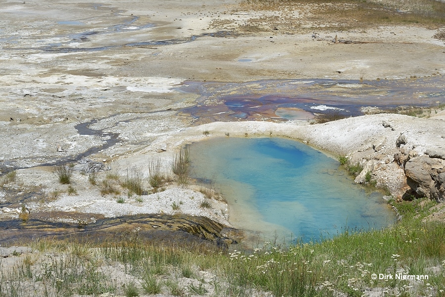 Jetsam Pool Yellowstone
