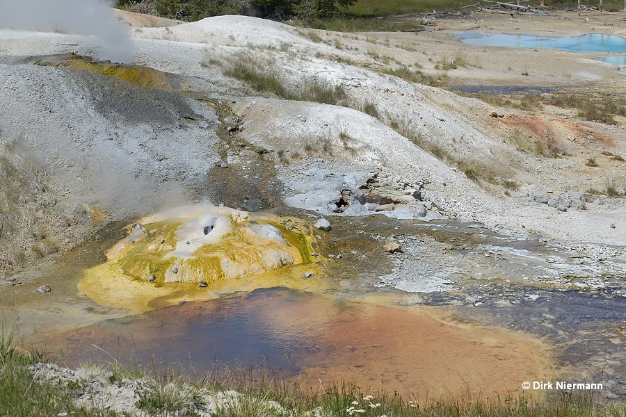 Ledge Geyser and Palm Pool Yellowstone