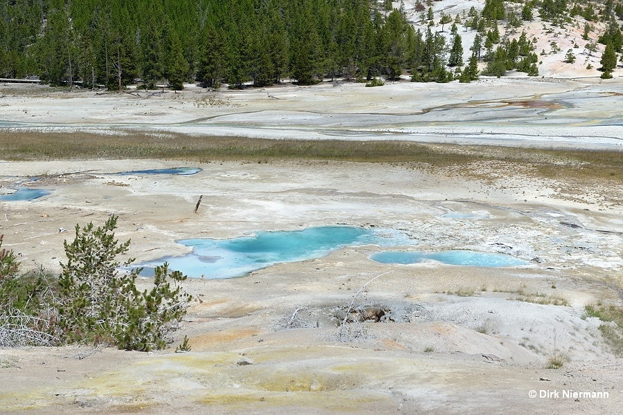 Lewis Mud Pots Yellowstone