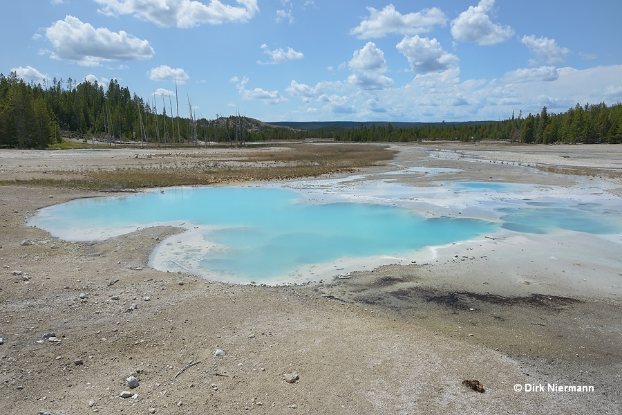 Scummy Pool Yellowstone