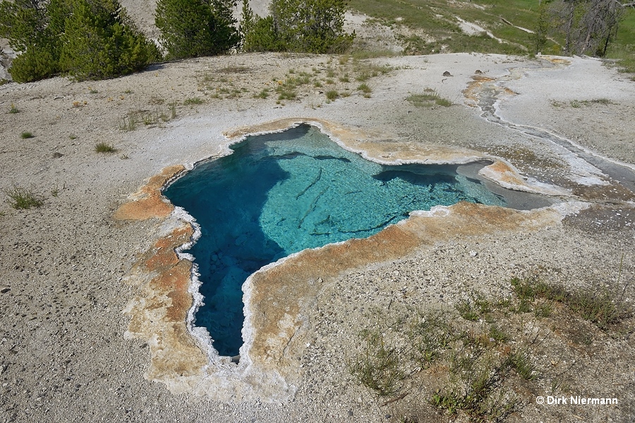 Blue Star Spring Yellowstone