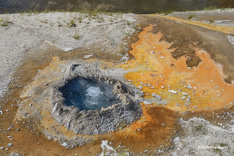 Chinese Spring Yellowstone