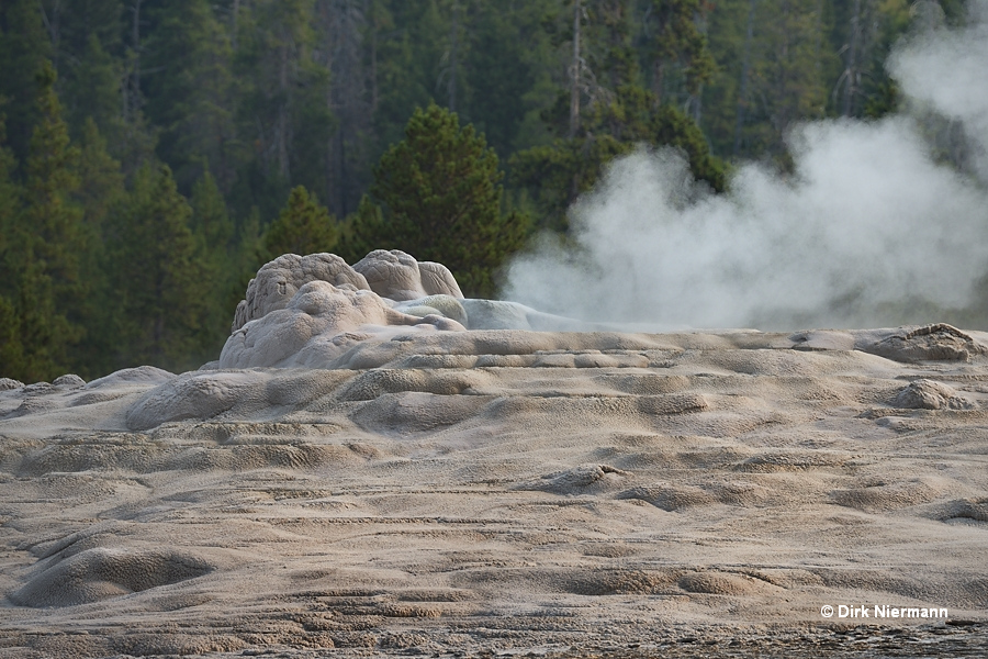 Old Faithful Geyser Yellowstone