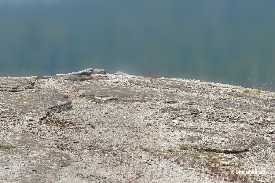 Split Cone Geyser Yellowstone