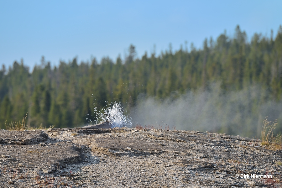 Split Cone Geyser Yellowstone