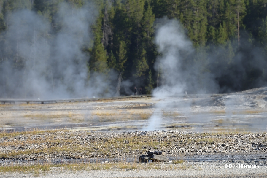 Teapot Geyser Yellowstone