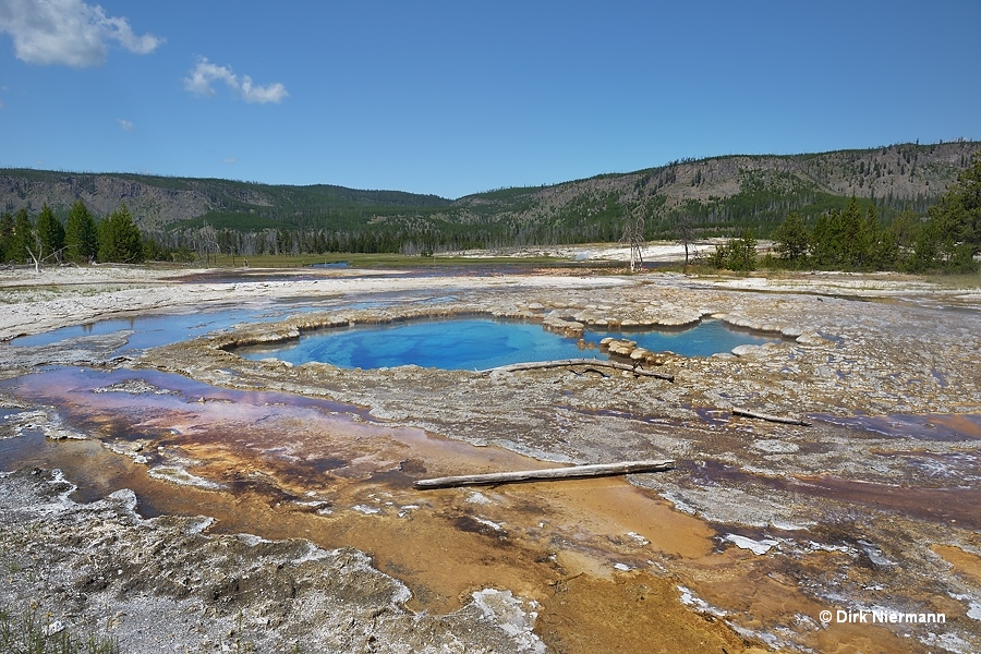 Cauliflower Geyser Yellowstone