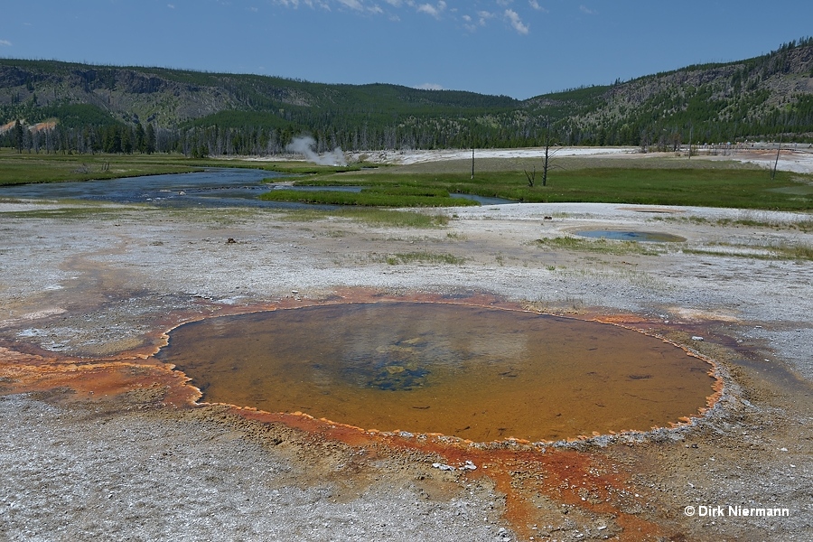 Goldfinger East Pool Yellowstone