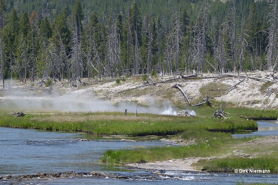 Island Geyser Yellowstone