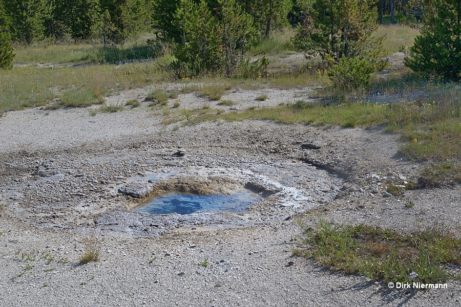 Mercury Geyser Yellowstone