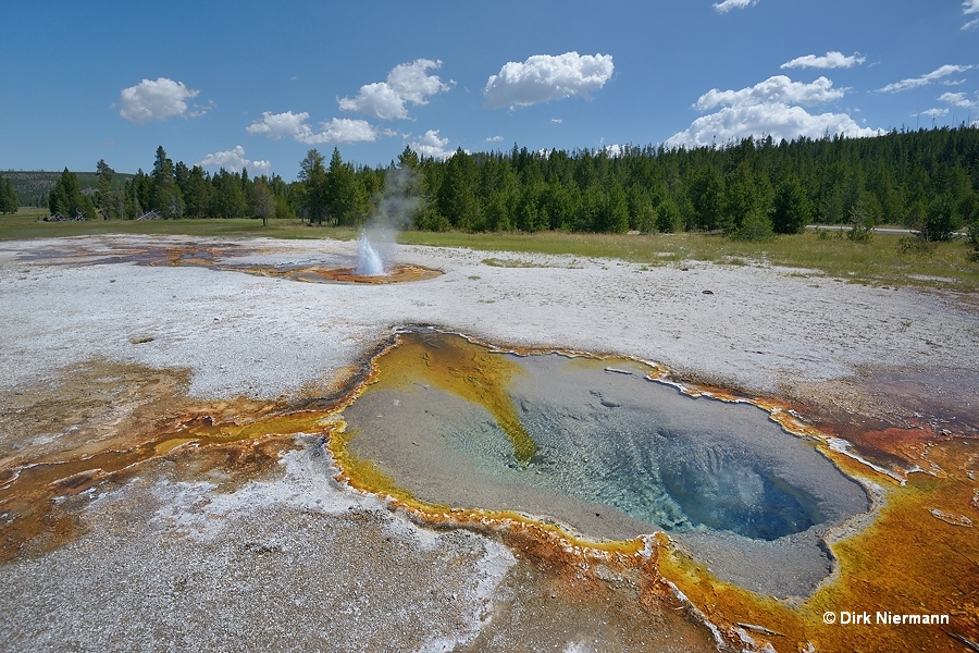 Hot pool UBBNN001 in front of Rusty Geyser Yellowstone