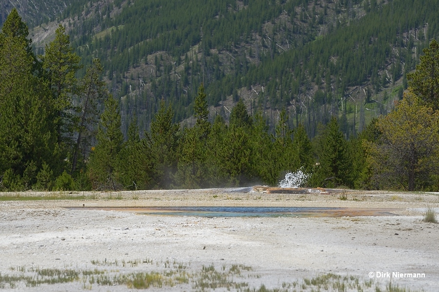 Orange Spring and Pulsar Spouter Yellowstone