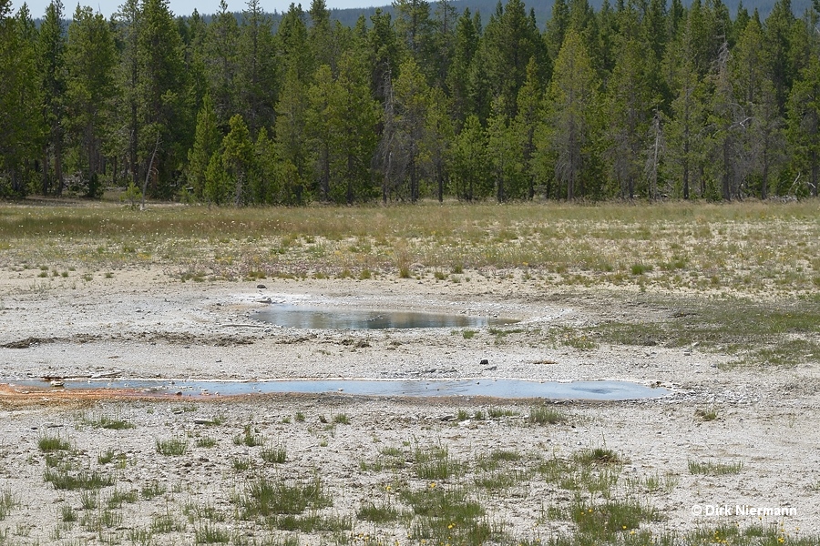 Pools in Orange Spring Group Yellowstone