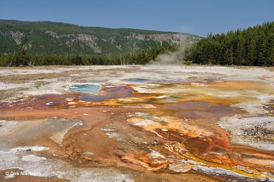 UNNG-PBG-1 west of Punch Bowl Spring Yellowstone